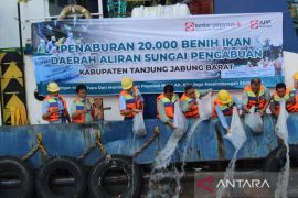 PT LPPPI dan PT WKS tabur 20.000 benih ikan di Sungai Pengabuan
