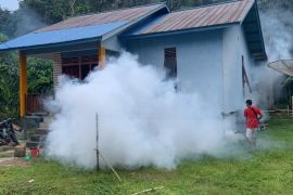 Dinkes Kapuas Hulu waspadai kasus DBD meningkat jadi 107 kasus