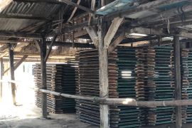 Pasokan ikan teri di Pulau Pasaran Bandarlampung turun