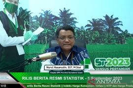 BPS: Sumut  deflasi 0,07 persen pada Agustus 2023
