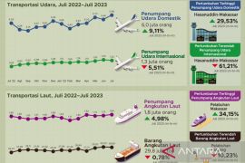 BPS: Jumlah penumpang angkutan udara domestik naik 9,11 persen