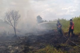 Tim pemadam Palangka Raya antisipasi karhutla dekati permukiman warga
