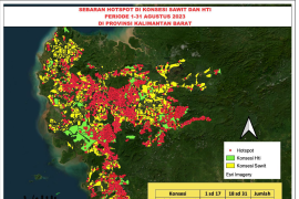 Walhi : 7.376 titik api di 235 konsesi sawit dan HTI di Kalbar