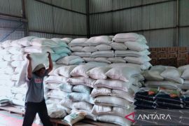Bulog Rejang Lebong siapkan beras program bantuan sosial CPP