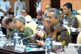 Wamenkeu: Indonesia tetap perlu waspadai gejolak global