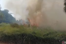 Lahan di BSD Tangerang terbakar