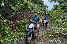 Sabang butuh Rp20 miliar untuk pembebasan lahan bangun jalan ke destinasi wisata