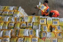 Harga beras kualitas biasa tembus Rp12.000 per kg di Abdya