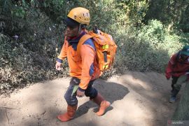 Penyisiran titik api kebakaran hutan Gunung Arjuno