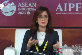 Insentif dan kebijakan wujudkan ekonomi rendah karbon