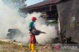 Cegah DBD, Kelurahan Gabek Dua bersama Puskesmas Selindung Lakukan Fogging
