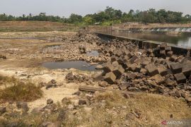 25 hektare sawah di Serang bisa panen di tengah kekeringan