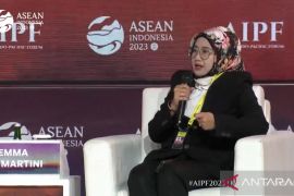 Pertamina invites global investment in green energy infrastructure