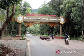 Kawasan Tahura Sultan Adam Mandiangin ditutup hingga waktu tak ditentukan