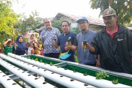 Pabrik AQUA Solok bantu petani kembangkan sistem Aquaponik, hasil panen meningkat