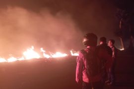 DPKP tangani kebakaran lahan ilalang di Medokan Semampir Surabaya