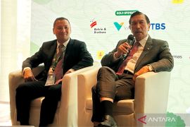 Luhut: Indonesia punya 3.600 gigawatt energi terbarukan