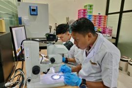 Tiga pejabat Karantina Merauke magang di Balai Karantina Banjarmasin