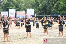 Wagub Kaltara minta tari semajau didokumentasikan dengan baik