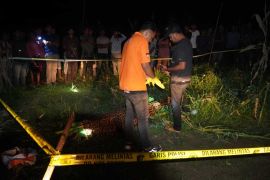 Pria paruh baya ditemukan tewas di kebun jagung