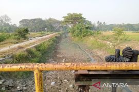 Pemkab Bekasi minta Perum Jasa Tirta II tambah debit air pada saluran irigasi