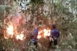 Petugas gabungan kembali dikerahkan padamkan kebakaran kawasan hutan Gunung Walat