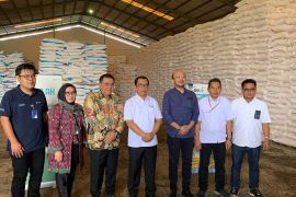 Pupuk Indonesia siapkan 92.445 ton pupuk subsidi di wilayah Sumbagsel