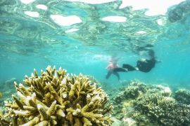 AIS Forum Summit can contribute to Jakarta's Seribu Islands MSMEs