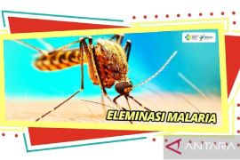 Dinkes Biak: Satu Distrik Biak Utara sudah eliminasi malaria