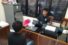 Polisi periksa enam saksi terkait "kawin culik" di Sumba