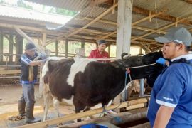 Pemkab Probolinggo lakukan surveilans usai vaksinasi PMK