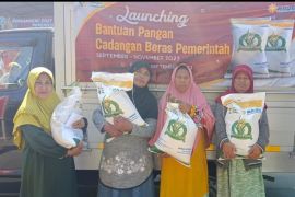 Bulog Jatim salurkan beras cadangan beras pemerintah 2023 tahap II