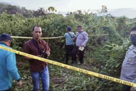 Heboh, warga Tapin temukan tulang manusia di semak belukar