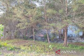 54 personel Damkar Bengkulu disiagakan guna antisipasi karhutla