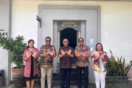 Pemkot Denpasar akan sebar telur nyamuk Wolbachia cegah penyebaran DBD