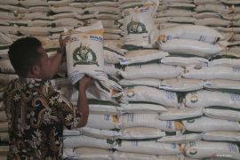 Bulog Maluku pasok 1.722 ton beras jaga ketersediaan stok di Tual