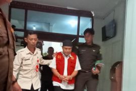 Kejari Enrekang menggelandang dua tersangka korupsi pengadaan bibit kopi