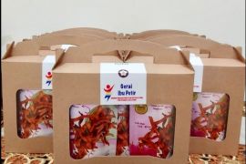 Sampaikan Keripik Stik Buah Naga ke Menteri PAREKRAF, PIKK PLN Siap Pasarkan Produk UMKM