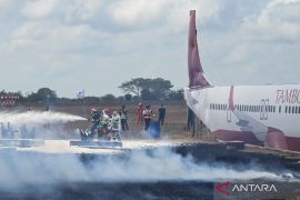 Korban kebakaran pesawat di Busan bertambah menjadi 7 orang