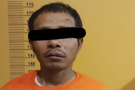 Mayat tergantung di pohon ternyata dibunuh abang sendiri
