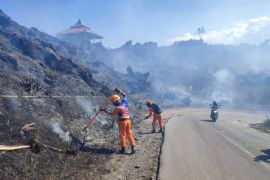 BPBD Bondowoso: Karhutla capai 20 hektare di lereng Gunung Ijen