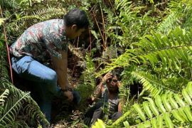 Napi kabur dari Lapas Bengkalis berhasil diringkus