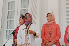 Jakarta temporarily closes six coal industries, three steel smelters