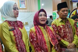 Kemen PAN-RB resmikan Mal Pelayanan Publik Tapin