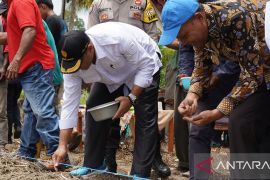 Tekan laju inflasi, Pemkab Malteng kembangkan 1.000 hektare kedelai