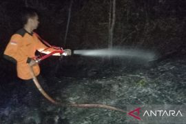 BPBD OKU padamkan karhutla di Tanjung Baru