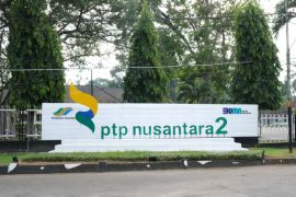 Haru bahagia para pensiunan dan ahli waris saat menerima SHT PTPN2