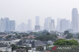 Dokter: polusi udara dapat sebabkan kanker