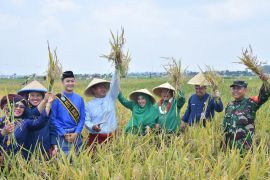 Pemkot Jambi gelar Festival Sedekah Bumi Tanjung Sari