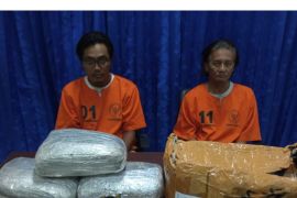 BNN tangkap dua pengedar ganja jaringan Medan-Bali